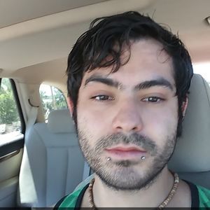 Meet your Posher, Wilbur